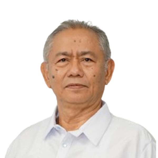 Engr. Hector N. Tabilisma